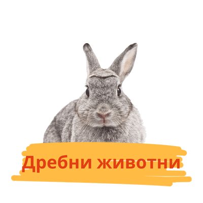 Дребни животни